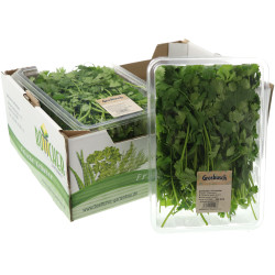 CORIANDRE GROSBUSCH 4X200G